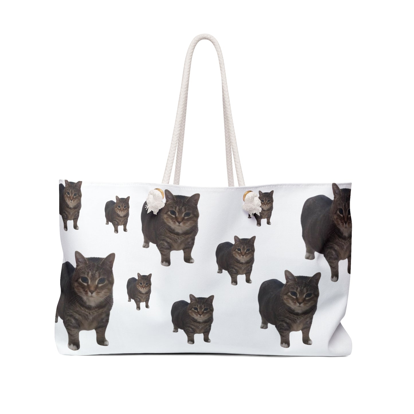 OIIA BAG🐈‍⬛🪩