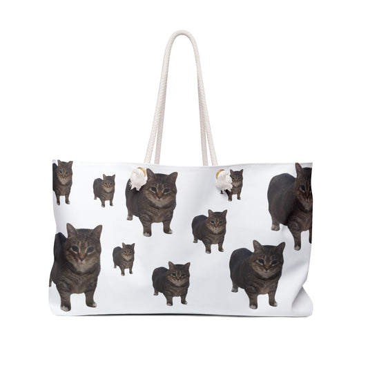 OIIA BAG🐈‍⬛🪩