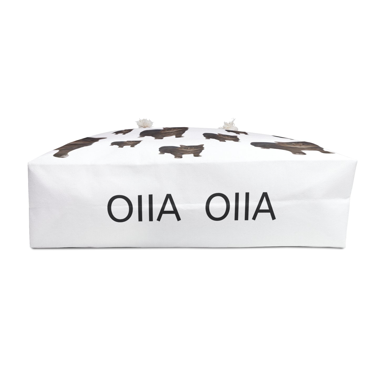 OIIA BAG🐈‍⬛🪩