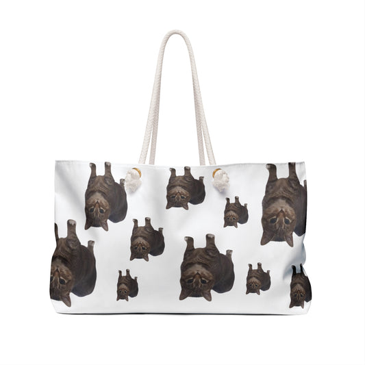 OIIA BAG🐈‍⬛🪩