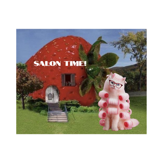 Meow salon time!